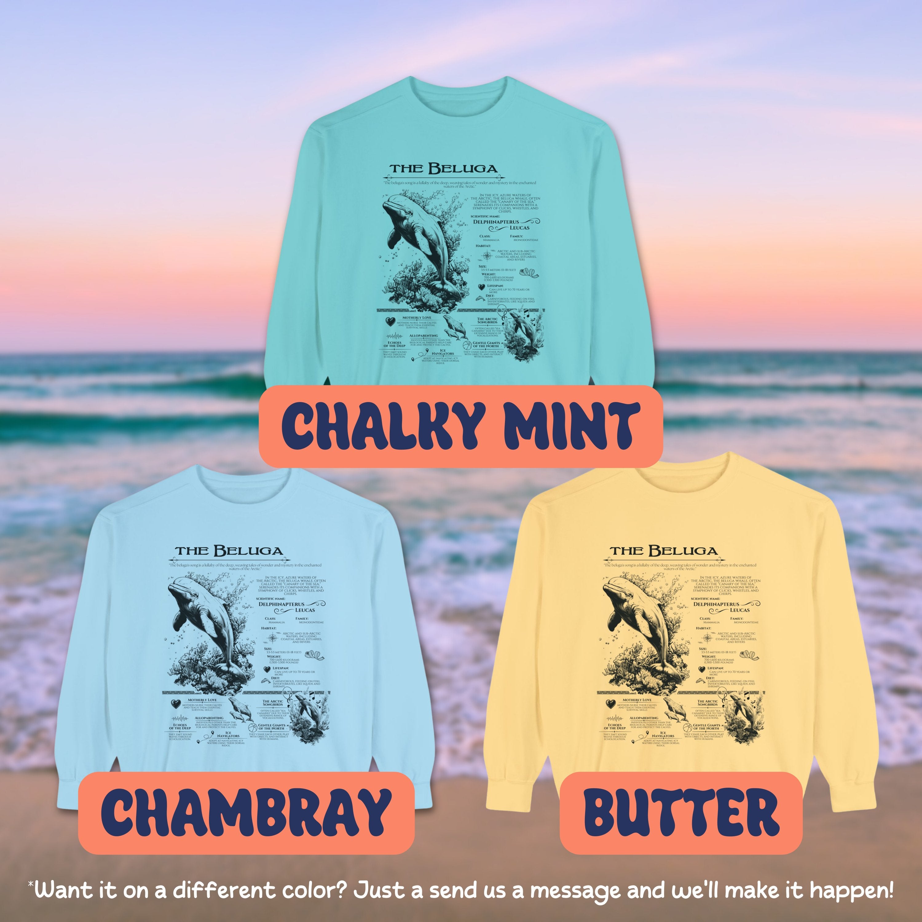 The Beluga Whale Anatomy Shirt Pullover, Marine Animals Vintage Sweatshirt, Gift for Surfers - Sweatshirt - Chromatic Safari - Chambray - S