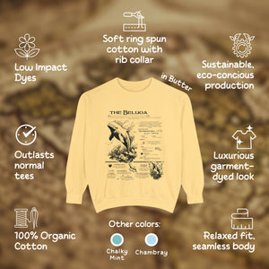 The Beluga Whale Anatomy Shirt Pullover, Marine Animals Vintage Sweatshirt, Gift for Surfers - Sweatshirt - Chromatic Safari - Butter - S