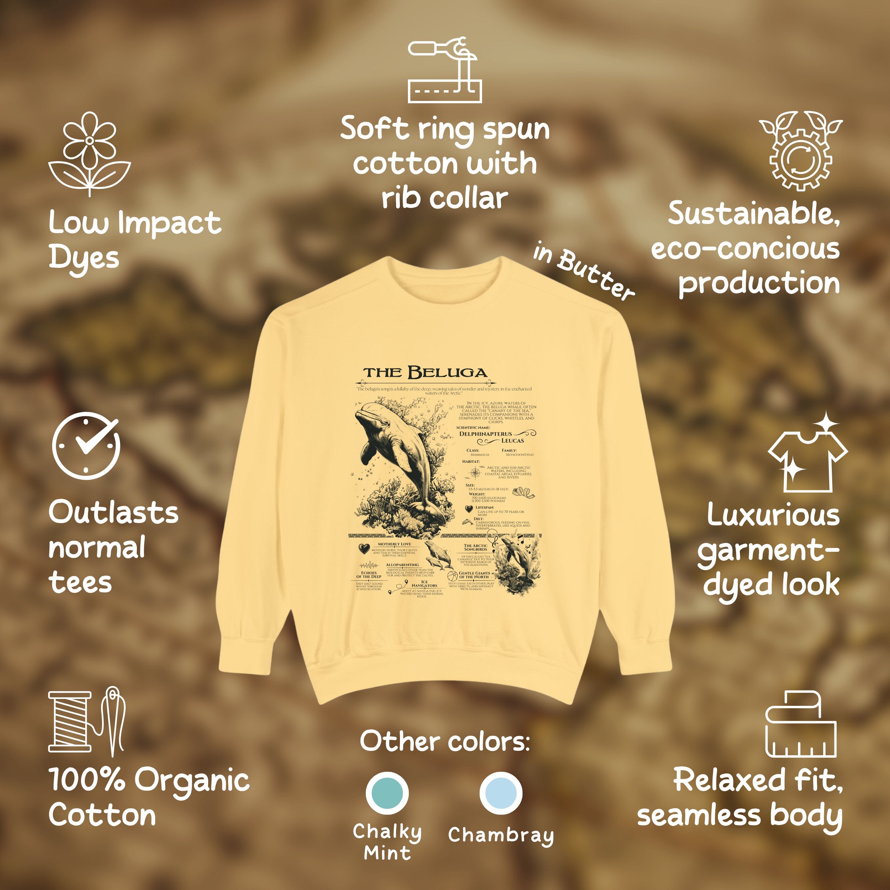 The Beluga Whale Anatomy Shirt Pullover, Marine Animals Vintage Sweatshirt, Gift for Surfers - Sweatshirt - Chromatic Safari - Butter - S
