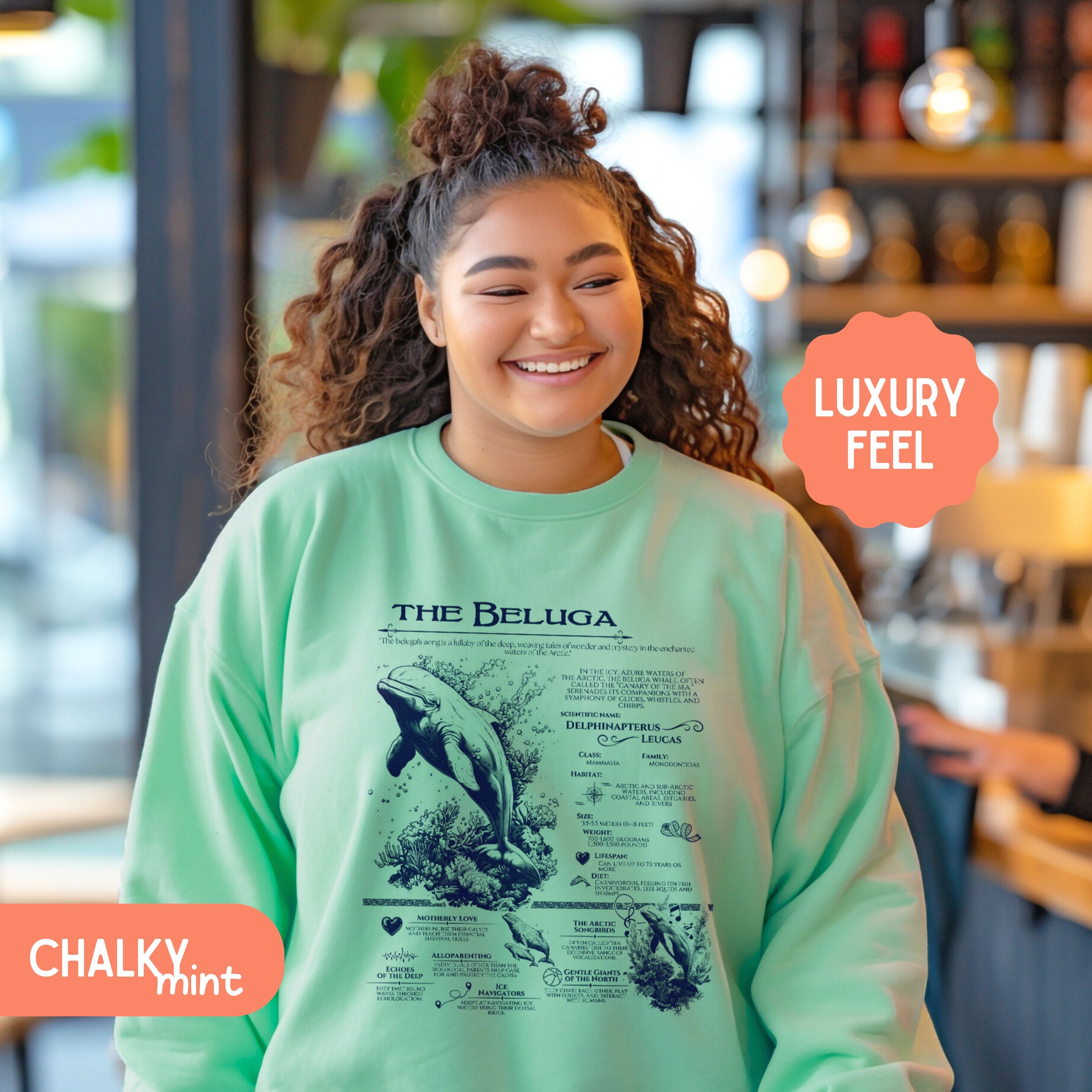 The Beluga Whale Anatomy Shirt Pullover, Marine Animals Vintage Sweatshirt, Gift for Surfers - Sweatshirt - Chromatic Safari - Chalky Mint - S