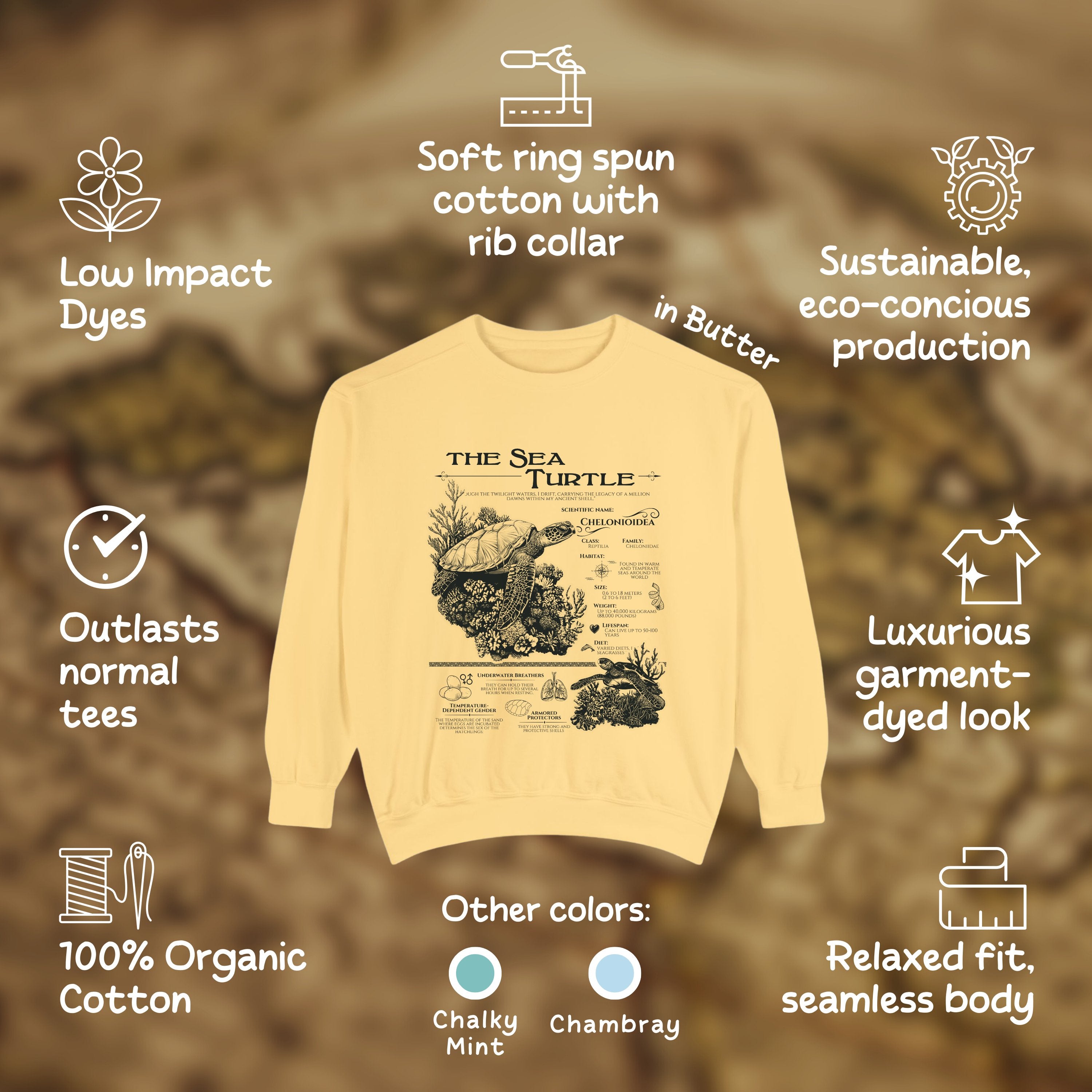 The Sea Turtle Comfort Colors Anatomy Shirt Pullover, Marine Animals Vintage Sweatshirt, Sea Turtle Gifts - Sweatshirt - Chromatic Safari - Chalky Mint - S