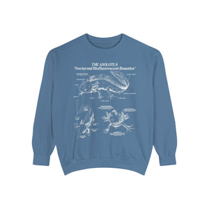 Axolotl Sweatshirt Pullover | Amphibian Anatomy Sweatshirt | Gift for Fish Keeper | Luxury Comfort Colors Sweatshirt - Sweatshirt - Chromatic Safari - Blue Jean - S