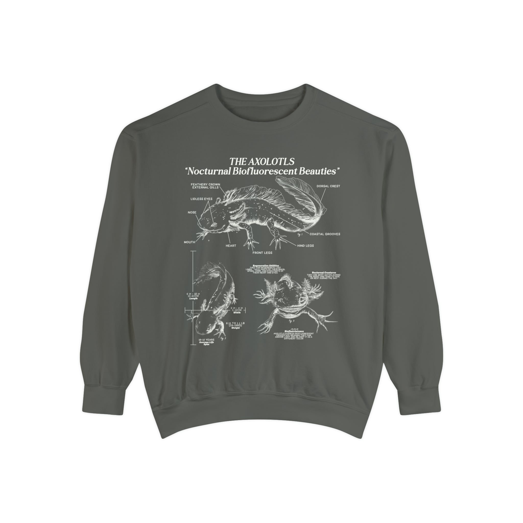 Axolotl Sweatshirt Pullover | Amphibian Anatomy Sweatshirt | Gift for Fish Keeper | Luxury Comfort Colors Sweatshirt - Sweatshirt - Chromatic Safari - Pepper - S
