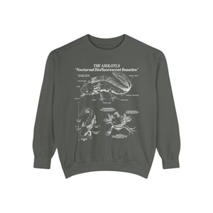 Axolotl Sweatshirt Pullover | Amphibian Anatomy Sweatshirt | Gift for Fish Keeper | Luxury Comfort Colors Sweatshirt - Sweatshirt - Chromatic Safari - Pepper - S