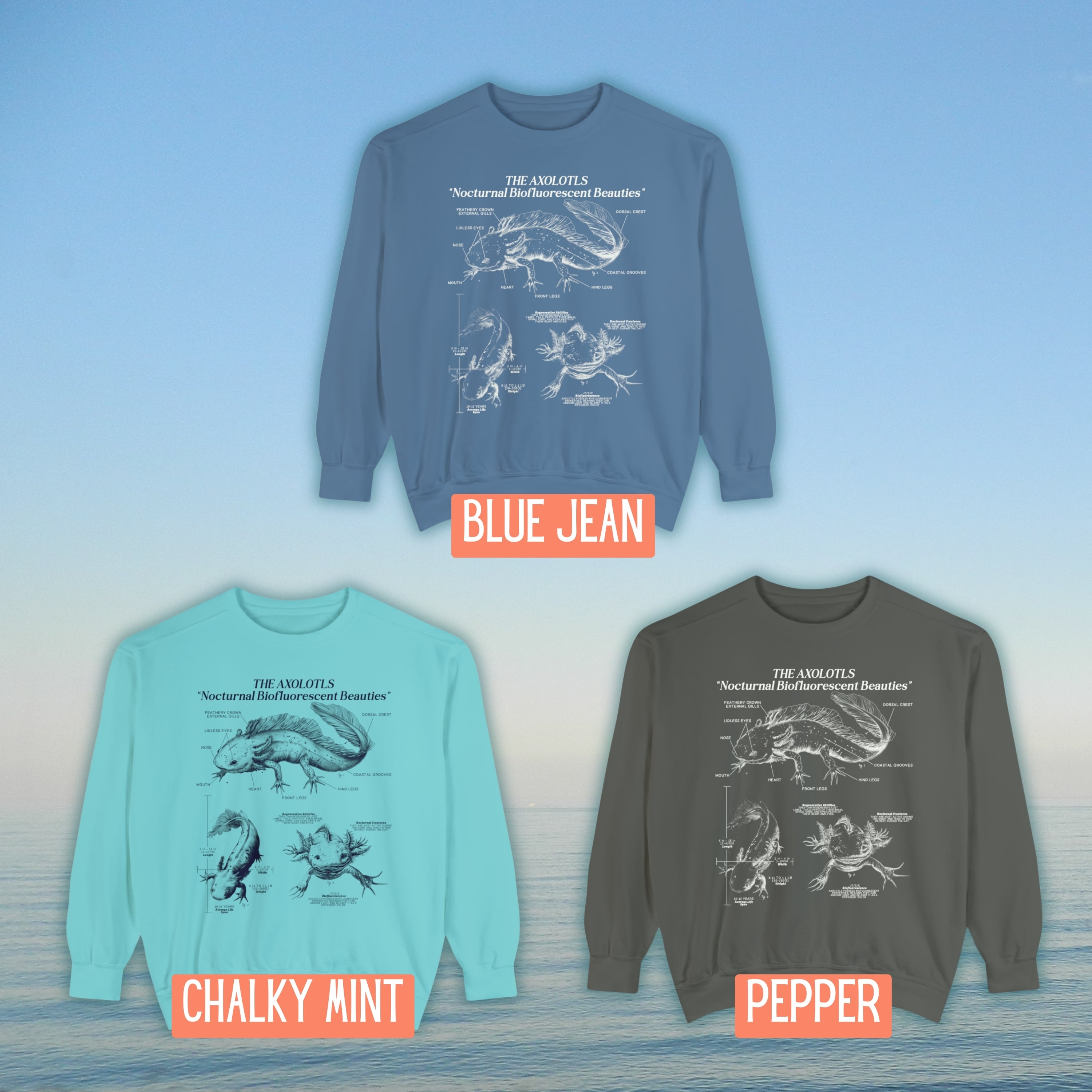 Axolotl Sweatshirt Pullover | Amphibian Anatomy Sweatshirt | Gift for Fish Keeper | Luxury Comfort Colors Sweatshirt - Sweatshirt - Chromatic Safari - Blue Jean - S