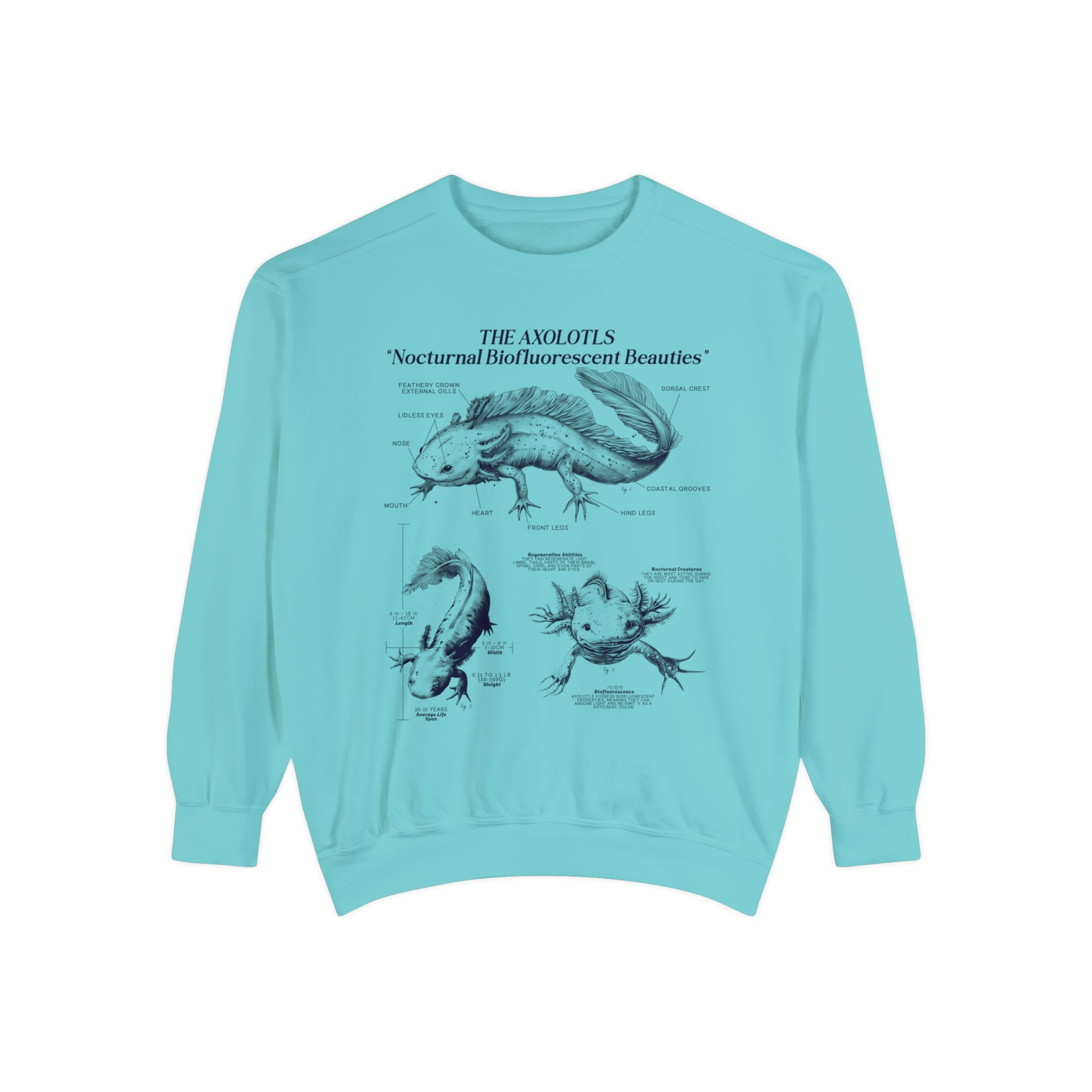 Axolotl Sweatshirt Pullover | Amphibian Anatomy Sweatshirt | Gift for Fish Keeper | Luxury Comfort Colors Sweatshirt - Sweatshirt - Chromatic Safari - Chalky Mint - S