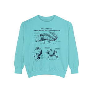 Axolotl Sweatshirt Pullover | Amphibian Anatomy Sweatshirt | Gift for Fish Keeper | Luxury Comfort Colors Sweatshirt - Sweatshirt - Chromatic Safari - Chalky Mint - S