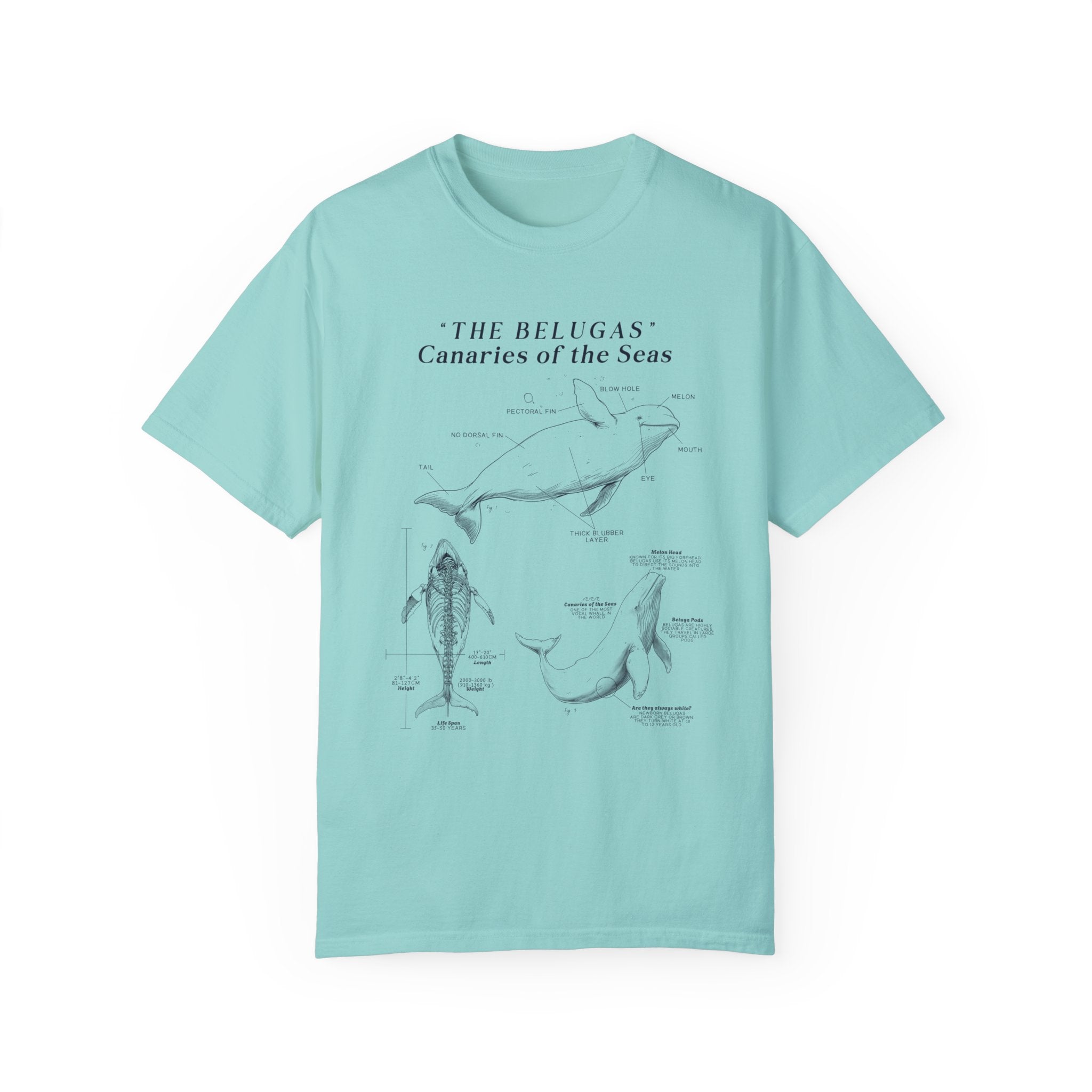 Beluga Shirt - Anatomical Illustration Comfort Colors Shirt - Ocean Conservation Shirt - Gift for Beluga Whale Lovers & Ocean Advocates - T-Shirt - Chromatic Safari - Chalky Mint - S