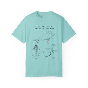 Beluga Shirt - Anatomical Illustration Comfort Colors Shirt - Ocean Conservation Shirt - Gift for Beluga Whale Lovers & Ocean Advocates - T-Shirt - Chromatic Safari - Chalky Mint - S