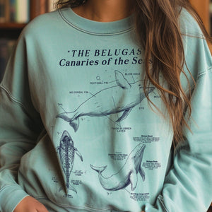 Beluga Whales Anatomy Sweatshirt, Ocean Marine Life Sweatshirt, Cute Sea Marine Animals Long Sleeves, Marine Biology Gift, Ocean Protect - Chromatic Safari - Blue Jean - S