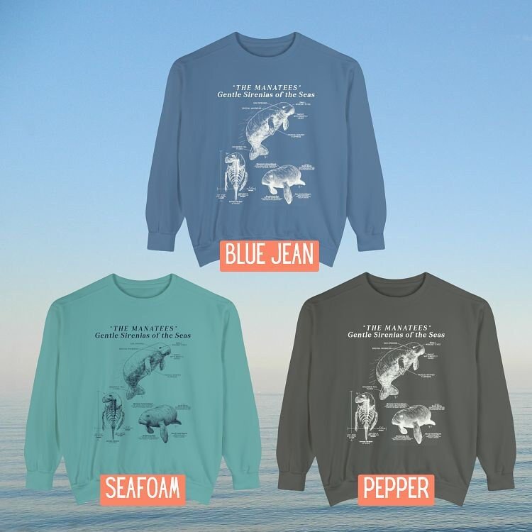 Manatee Anatomy Eco-Friendly Sweatshirt: A Stylish Statement for Ocean Advocates and Sustainability Enthusiasts - Chromatic Safari - Blue Jean - S