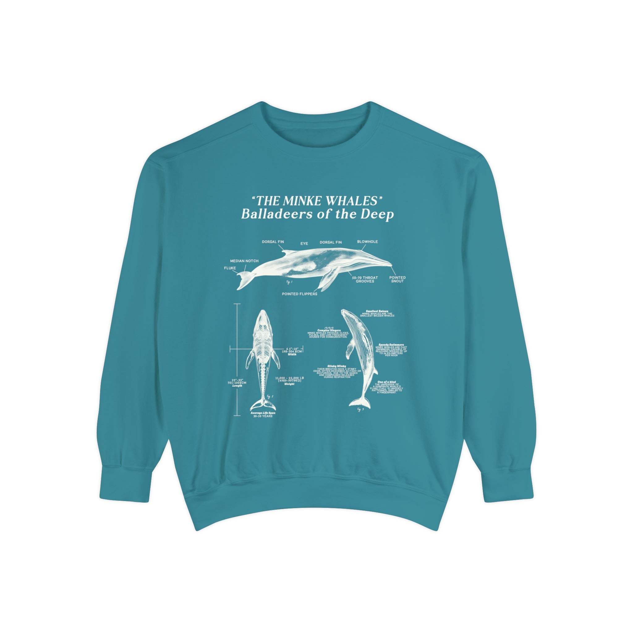 Minke Whale Anatomy Sweatshirt: Statement Pullover for Surfers and Scuba Divers - Sweatshirt - Chromatic Safari - Topaz Blue - S