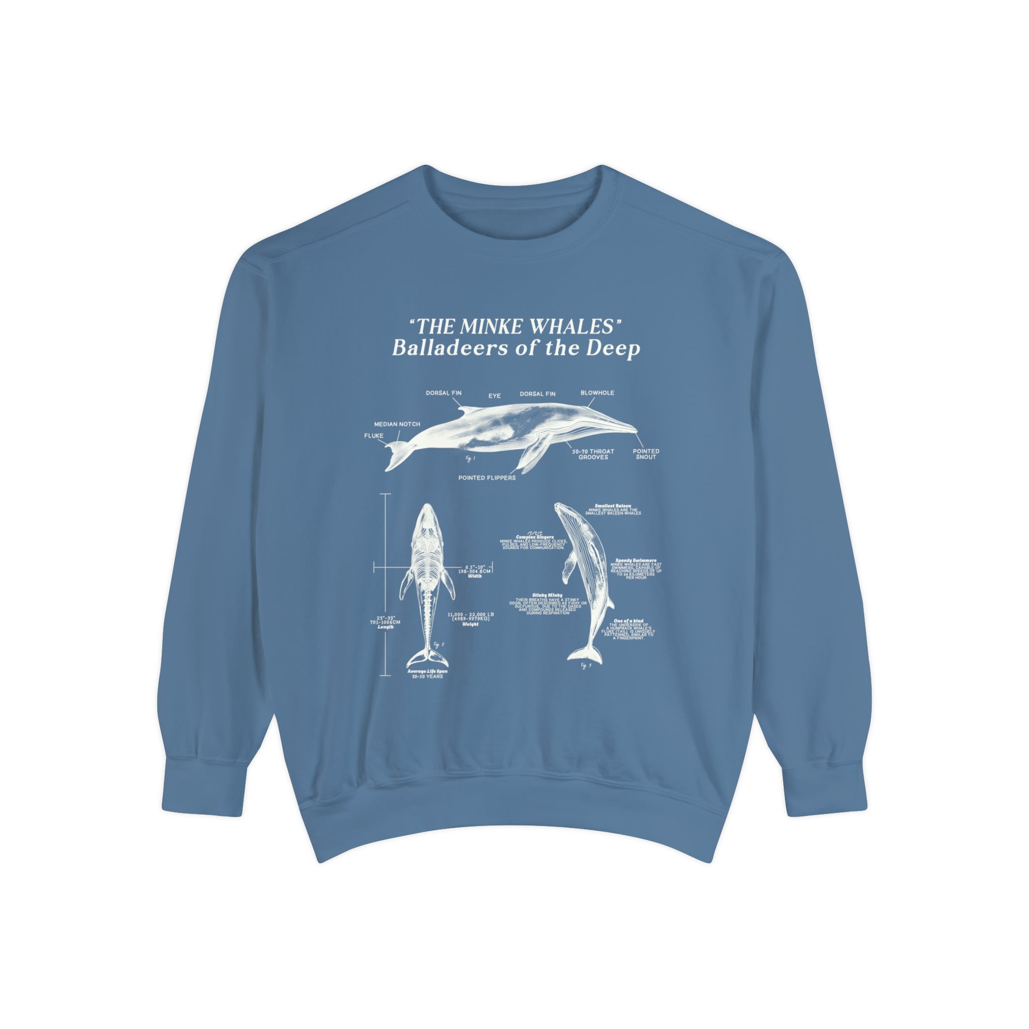 Minke Whale Anatomy Sweatshirt: Statement Pullover for Surfers and Scuba Divers - Sweatshirt - Chromatic Safari - Blue Jean - S