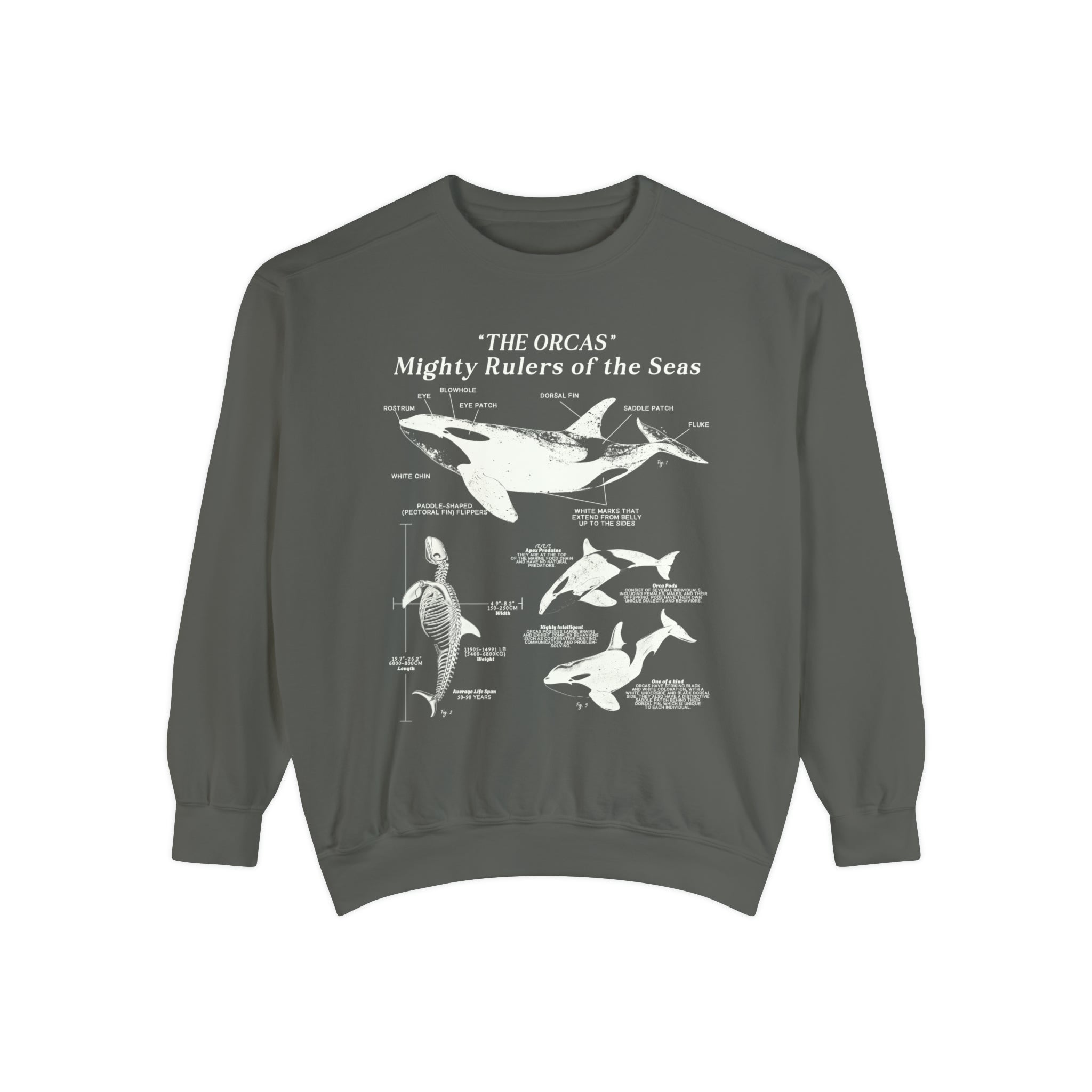 Orca Anatomy Eco-Friendly Sweatshirt: A Stylish Statement for Ocean Advocates and Sustainability Enthusiasts - Sweatshirt - Chromatic Safari - Pepper - S