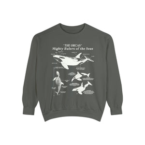 Orca Anatomy Eco-Friendly Sweatshirt: A Stylish Statement for Ocean Advocates and Sustainability Enthusiasts - Sweatshirt - Chromatic Safari - Pepper - S