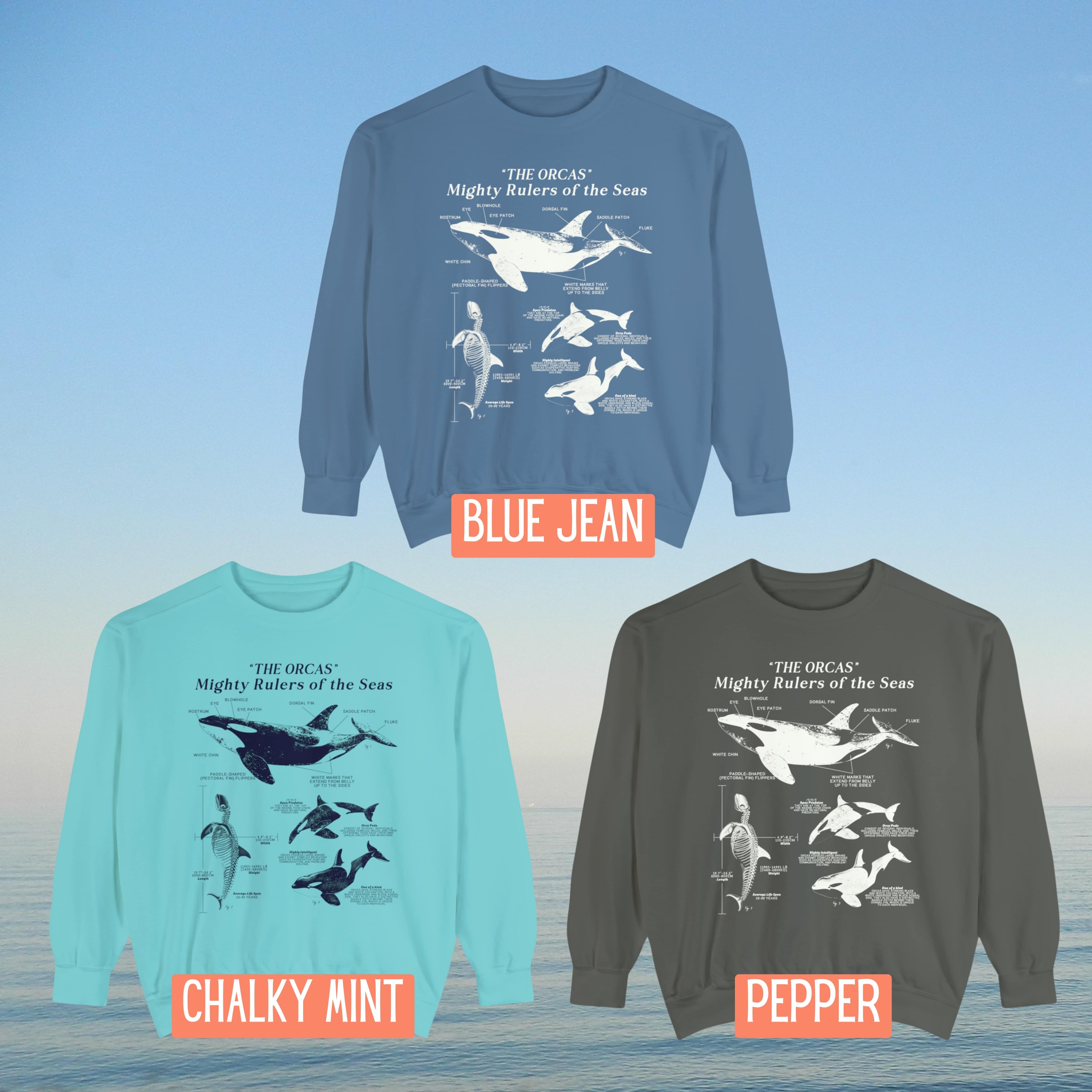 Orca Anatomy Eco-Friendly Sweatshirt: A Stylish Statement for Ocean Advocates and Sustainability Enthusiasts - Sweatshirt - Chromatic Safari - Blue Jean - S