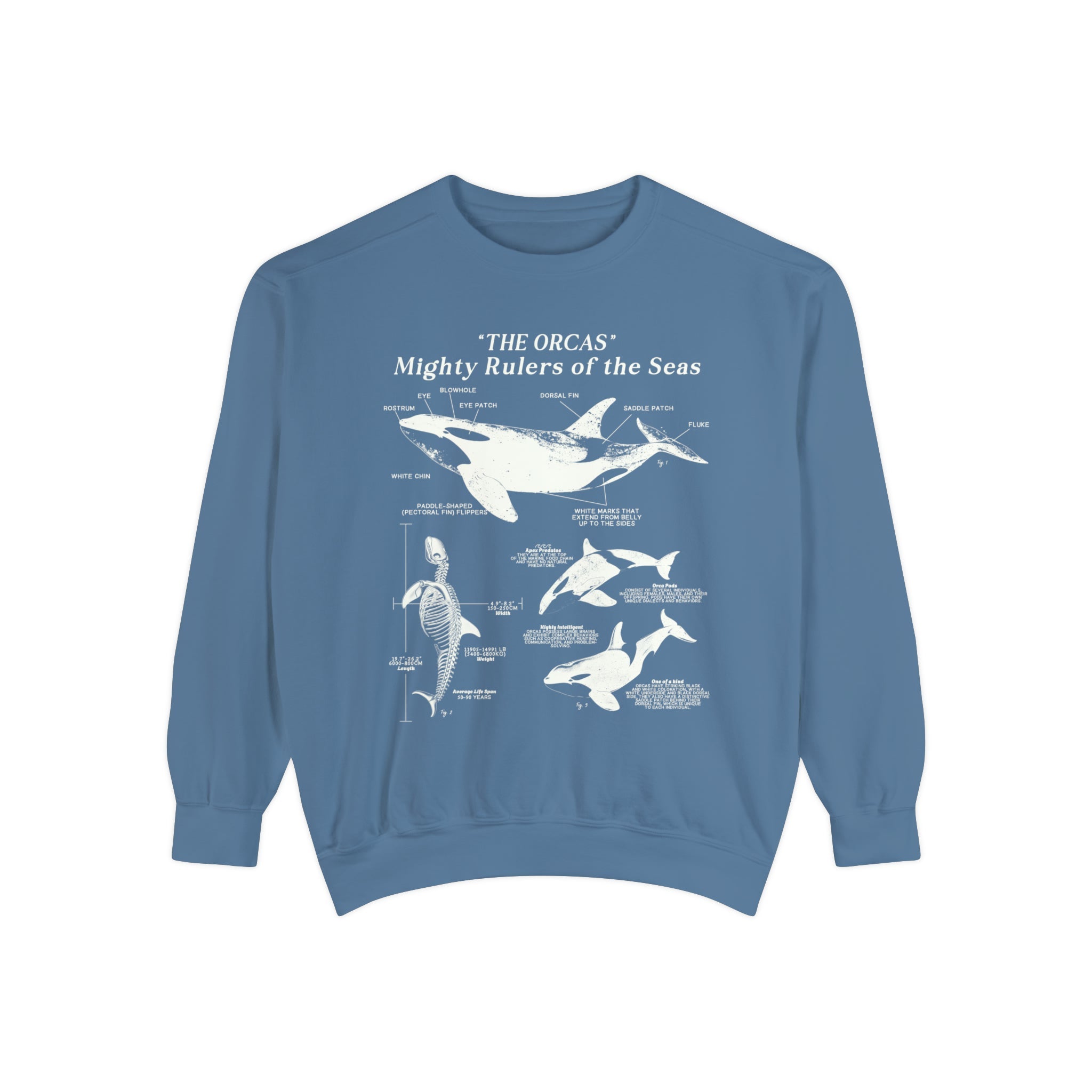 Killer Whale Anatomy Sweatshirt, Marine Biology outlets Sweatshirt, Orca Whale Sweatshir