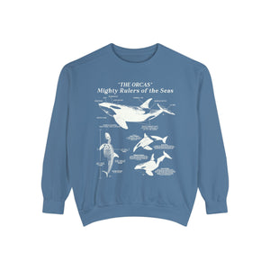 Orca Anatomy Eco-Friendly Sweatshirt: A Stylish Statement for Ocean Advocates and Sustainability Enthusiasts - Sweatshirt - Chromatic Safari - Blue Jean - S